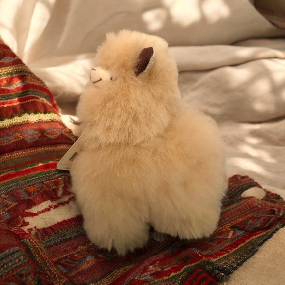 Plush Llama - Picture 2 of 5